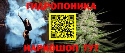 apvp Ирбит